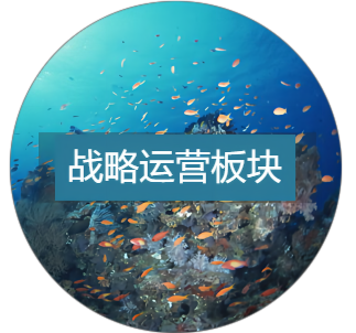 战略运营板块