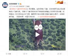 <b>热烈祝贺公司深海吉祥物拜年视频被自然资源部官媒选用</b>